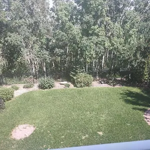 Apartment Spacious One Bedroom Walkout Basement Calgary